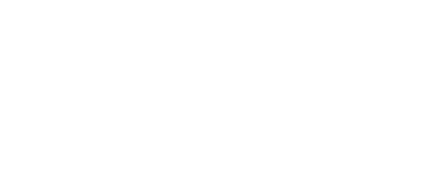 Rizzo Litigation Support Group PLLC